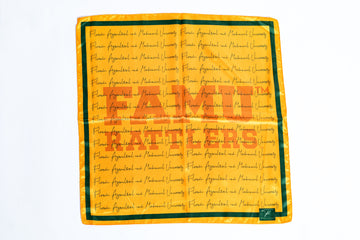 The FAMU Rattler Scarf